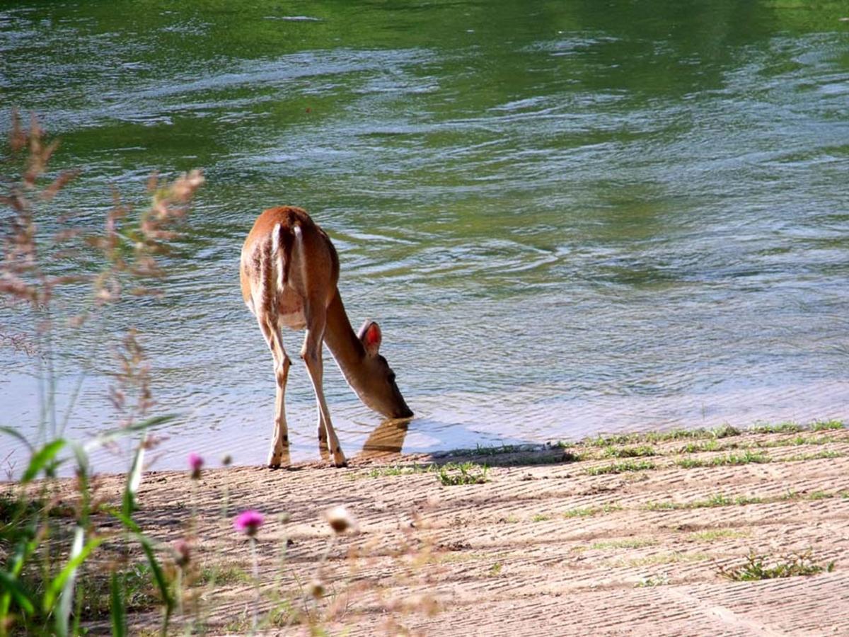 קולומבוס Colorado River Rv Campground מראה חיצוני תמונה